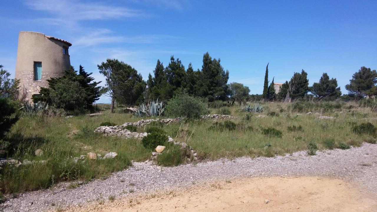 Gite La Capelle Roquefort Des Corbieres Sigean Narbonne Aude المظهر الخارجي الصورة