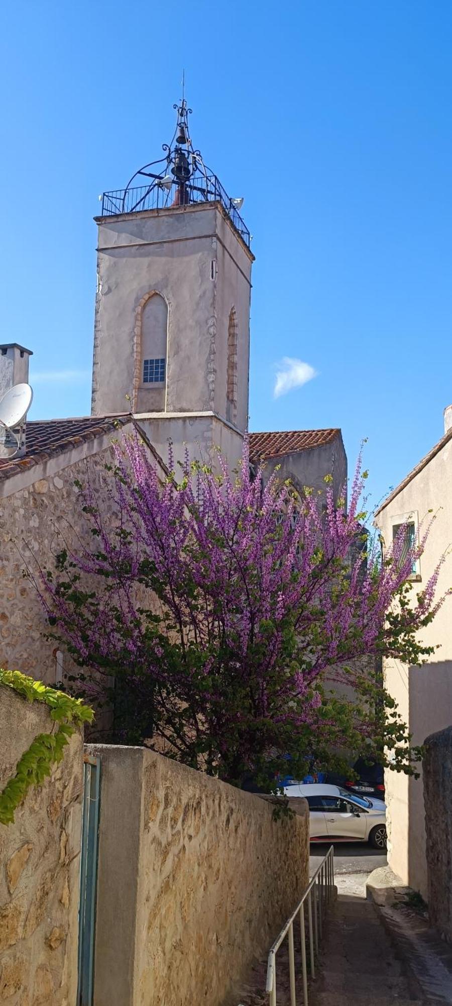 Gite La Capelle Roquefort Des Corbieres Sigean Narbonne Aude المظهر الخارجي الصورة